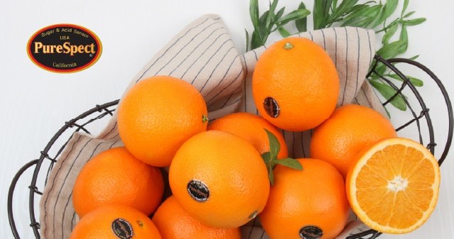 [퓨어스팩] 프리미엄 블랙라벨 오렌지